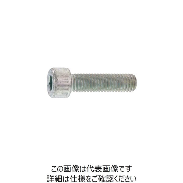 SUNCO CAP 日本鋲螺 30 × 110 （5本入） A0-00-000B-0300-1100-00 247-9557（直送品）