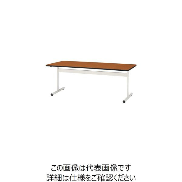 【メッキ】 TOKIO ミーティングテーブル 型 1500×750mm チーク チーク TC-1575U T 1個 145-8155【代引決済