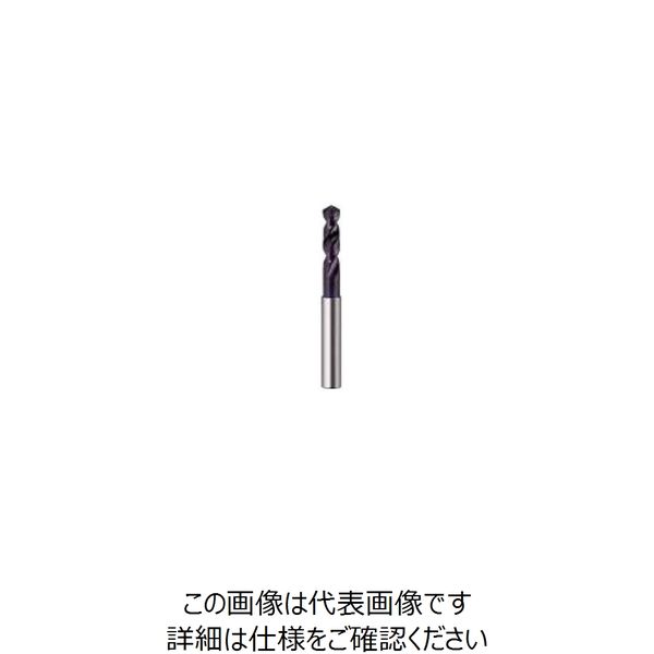 グーリングジャパン GUHRING フンマツハイス EMシャンク 特価 ドリル 直送品 高級品 12.5 #6005 1本