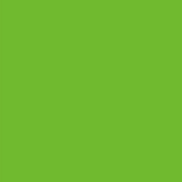 アスクル】アルテ ニューカラーボード 蛍光グリーン ５ｍｍ厚 Ａ１判 素板 ＢＰー５ＣＢーＡ１ーＦＧ バラ売り 066424 1枚（直送品） 通販  ASKUL（公式）