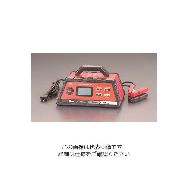 エスコ（esco） AC100V→DC12V・24V バッテリーチャージャー 1台 EA815Y-11（直送品）
