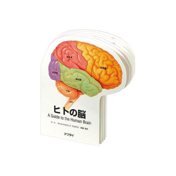 アプライ 型抜き絵本 ヒトの脳 TP014 1セット（直送品）