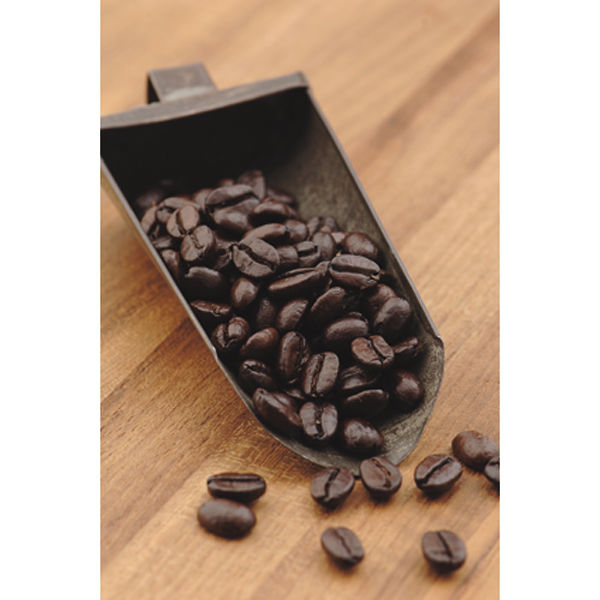 アスクル コーヒー豆 スターバックス ハウス ブレンド 1袋 250g 豆 通販 Askul 公式
