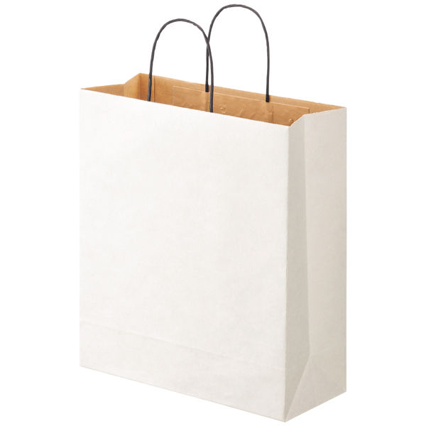リバーシブルペーパー手提げ　丸紐　白　L　1セット（50枚：10枚入×5袋）　スーパーバッグ オリジナル