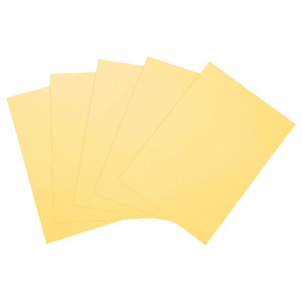 【アスクル】 大王製紙 ダイオーマルチカラープリンタ用紙 86411 A4 1冊（500枚入） クリーム色 通販 - ASKUL（公式）
