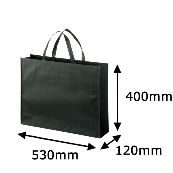 アスクル 今村紙工 PPコーティング不織布バッグ 大 幅530×高さ400×マチ幅120ｍｍ 1袋（10枚入）不織布手提げ袋 通販 -  ASKUL（公式）