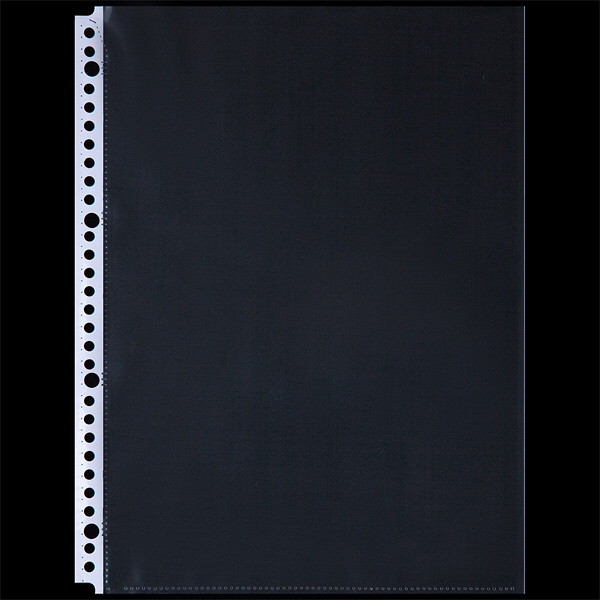 アスクル　リング式ファイル用ポケット　A4タテ　30穴　丈夫な穴で20枚収容　1セット(60枚) オリジナル