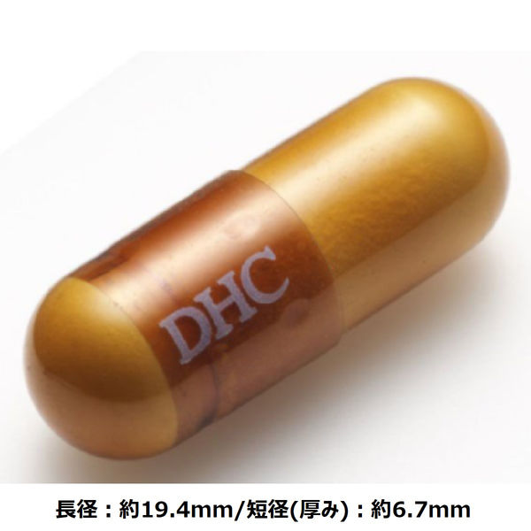 DHC αリポ酸 60日分 120粒