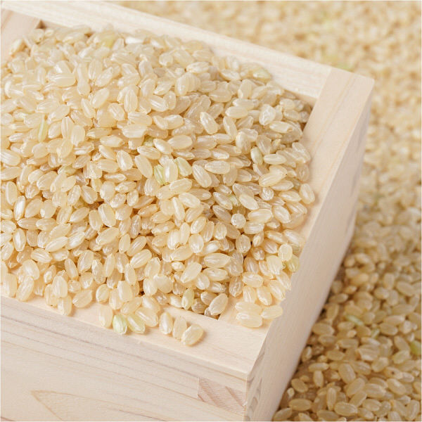 LOHACO - 【玄米】北海道産ななつぼし 5kg 令和元年産 米