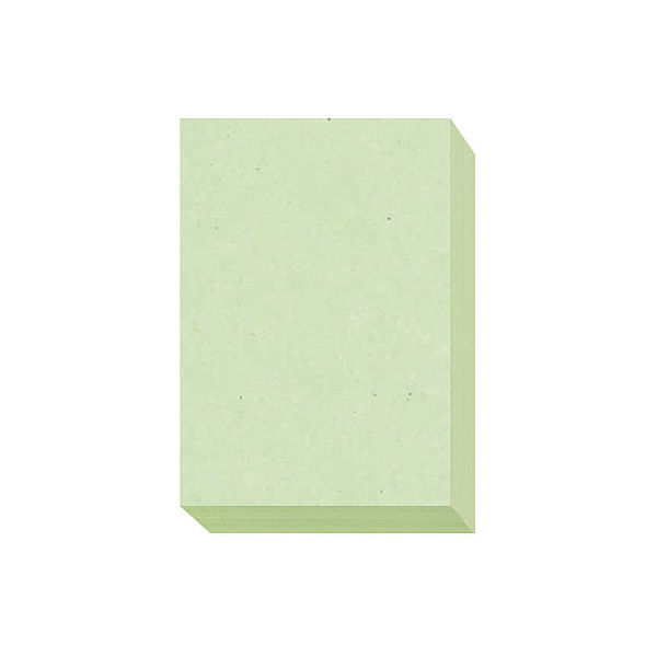 大王製紙 ダイオーマルチカラープリンタ用紙 86432 A3 1箱（1500枚入
