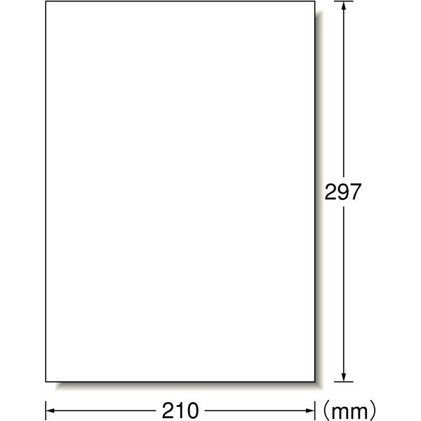 コクヨ　ＫＢ−Ａ１９２ ＰＰＣ用ラベルシート（共用タイプ）　Ａ４　１００枚入　１２面カット　白 