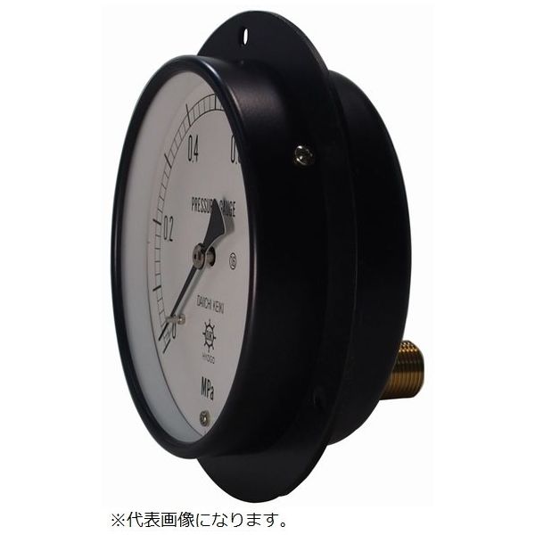第一計器製作所 IPT一般圧力計（蒸気用 DMU3/8-75:1.6MPA 1個（直送品）