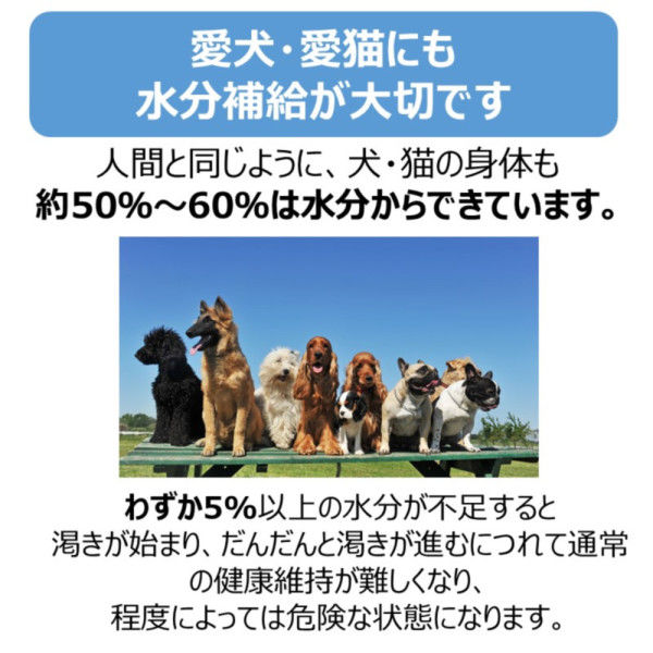 ペットスエットゼリー 愛犬用 水分補給 低カロリー クランベリープラス 国産（20g×7本入）1袋 ドッグフード 犬 おやつ