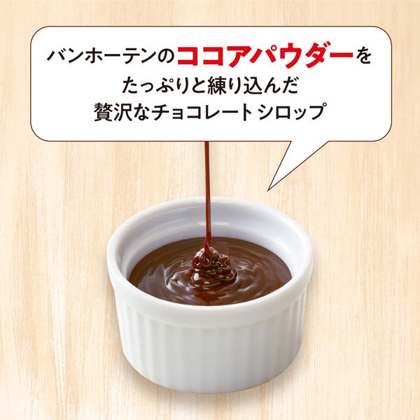 片岡物産 バンホーテン チョコレートシロップ 1個（630g）