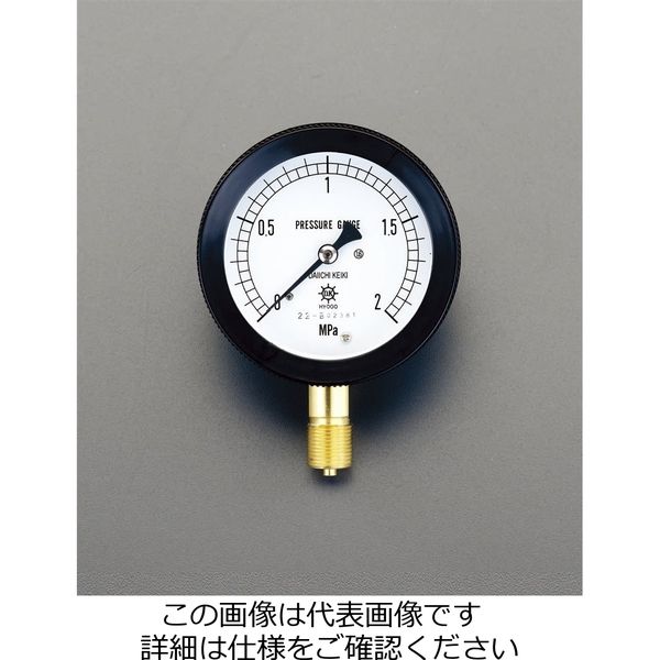 G 3/8/75mm/0-3.0MPa つば付圧力計 ステンレス EA729DM-30 エスコ ESCO-