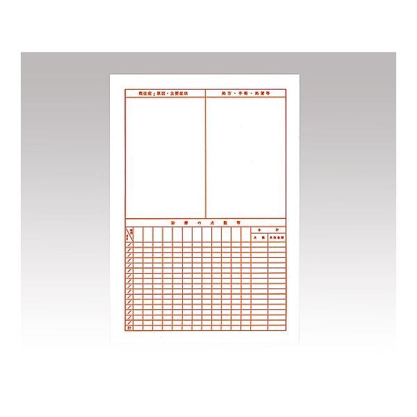 アスクル】中島紙工 健保カルテ B5サイズ 1セット（1000枚：100枚×10袋） 8-9620-01 ナビスカタログ（直送品） 通販  ASKUL（公式）