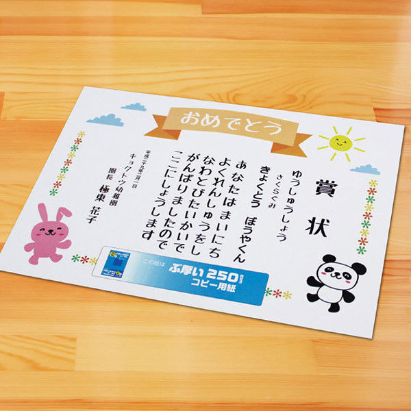 日本ノート PPC250A4 ぶ厚いコピー用紙 250gsm 007574733 1セット(25枚