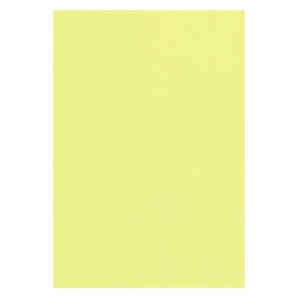 アスクル】リンテック 色画用紙 ニューカラーR 八切 ライムグリーン NCR1368 1包（100枚入） 通販 ASKUL（公式）