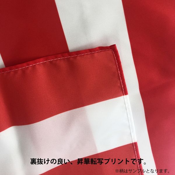 アスクル】【世界の国旗】服部 応援・装飾用旗 パプアニューギニア 105 