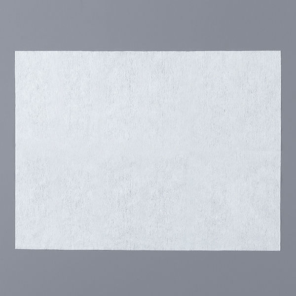 薦田紙工業×アスクル ウェットタオル レギュラーサイズ 1セット（60枚入×3個） オリジナル