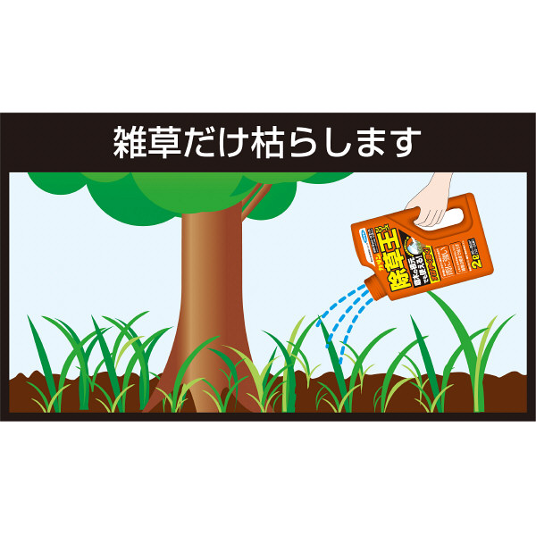 【園芸用品】フマキラー ザッソージエース 2L 1セット（3個）