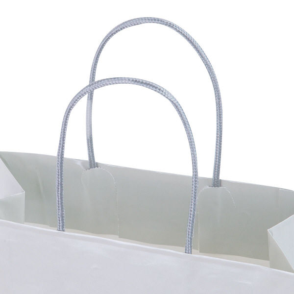 手提げ紙袋　丸紐　ブライトーンパールタイプ　パールグレー　L　1袋（10枚入）　スーパーバッグ オリジナル