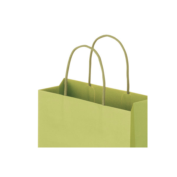 レザートーン手提袋　丸紐　グラスグリーン　M　1箱（300枚：10枚入×30袋）　スーパーバッグ オリジナル