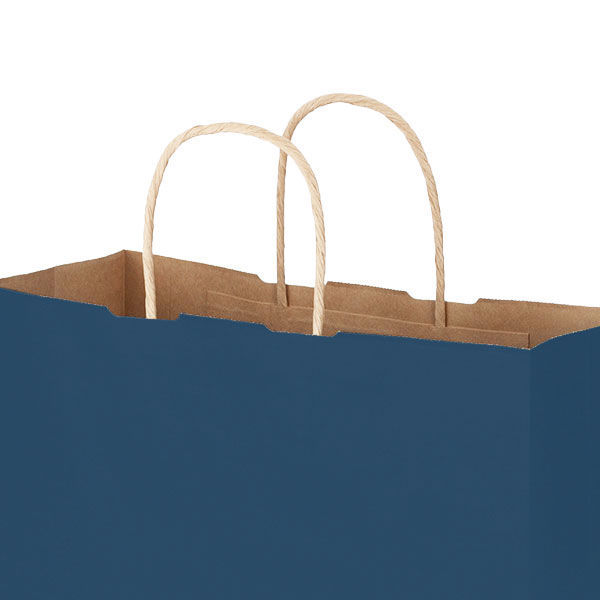 手提げ紙袋　丸紐　ベーシックカラー　青　M　1袋（50枚入）　スーパーバッグ オリジナル