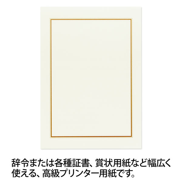 オキナ OA対応辞令・賞状用紙 A4 210×297ミリ SZA4 1袋（10枚入）