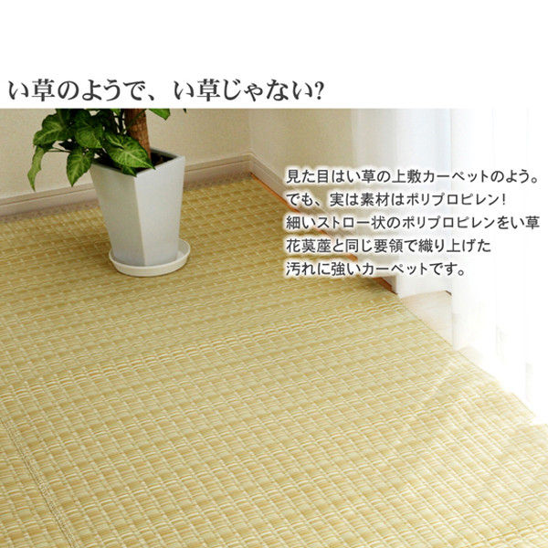 イケヒコ 洗える PPカーペット 『バルカン』 グリーン 江戸間2畳（約174×174cm） 1枚（直送品）