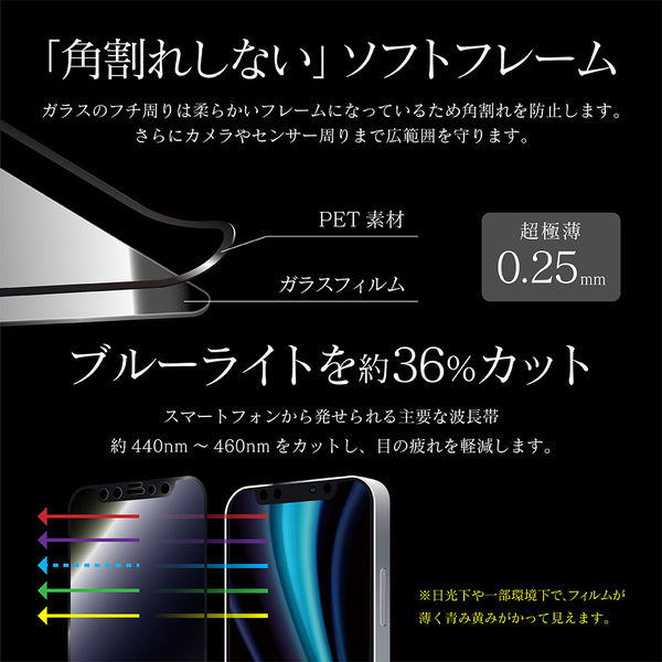 iPhone 12 Pro ガラスフィルム 液晶保護フィルム ドラゴントレイル 