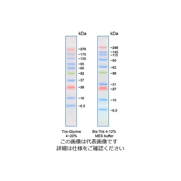 BLUltra Prestained Protein Ladder プロテインラダーマーカー PM001-0500 61-9703-37（直送品） 実験器具