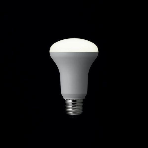ヤザワコーポレーション R63レフ電球形LED電球 E26口金 規格60形（明るさ40W相当） 昼白色 LDR5NH（わけあり品）