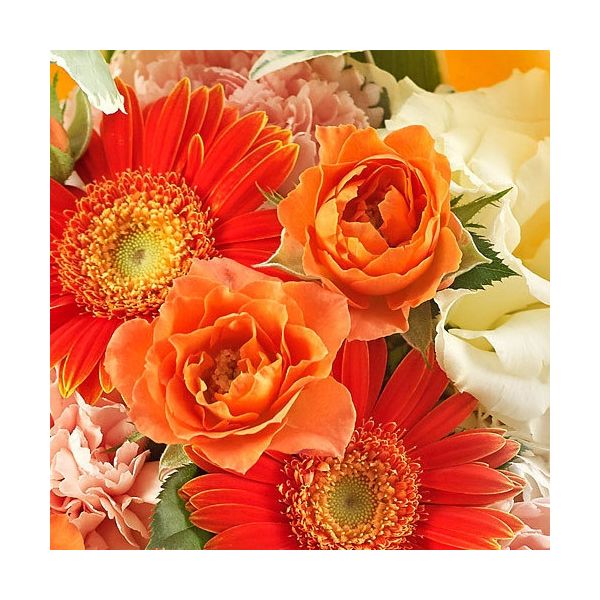 【フラワーギフト・ラッピング付】 日比谷花壇 おまかせ花束「イエロー・オレンジ系」 TH2990（直送品）