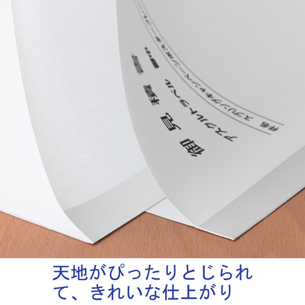 アスクル】アスクル 製本テープ（契印用） 幅35mm(A4用) 袋とじタイプ 1袋（10枚入） 白色度79％ 9～20枚対応 オリジナル 通販  ASKUL（公式）