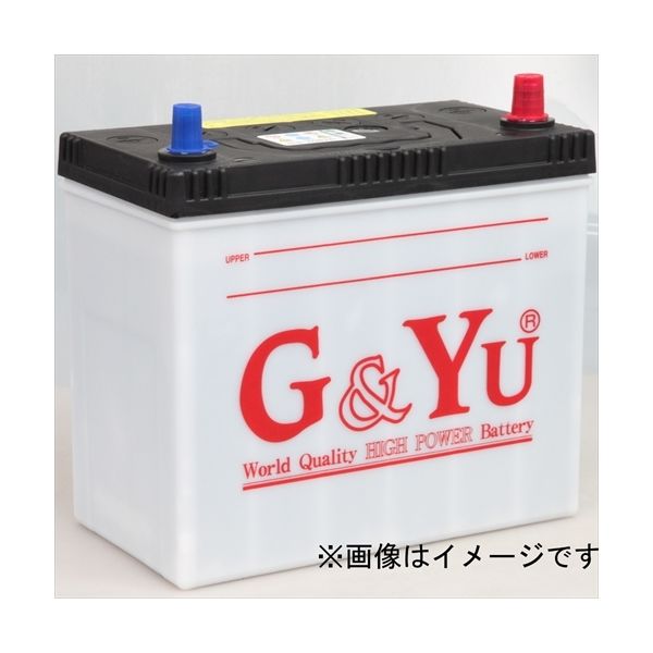 G&Yu 国産車バッテリー ecoba 60B24L（直送品）