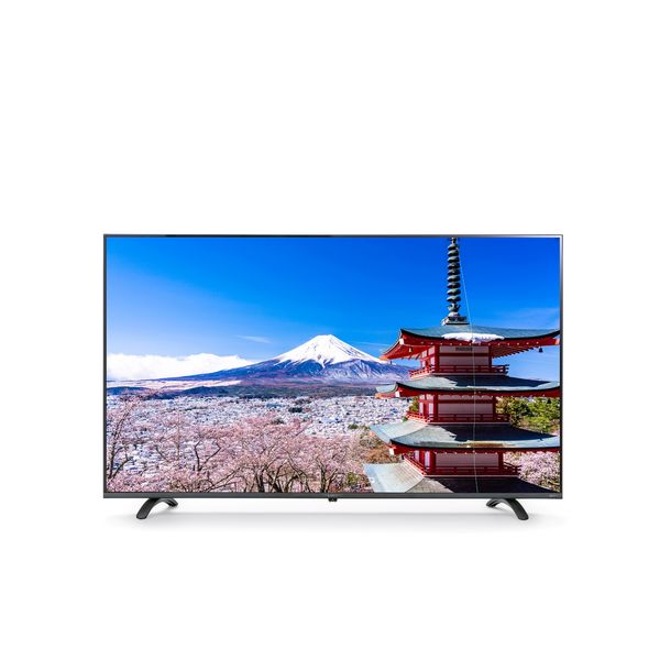 アイリスオーヤマ 液晶テレビ LT-55B620 55インチ 4K対応（直送品）