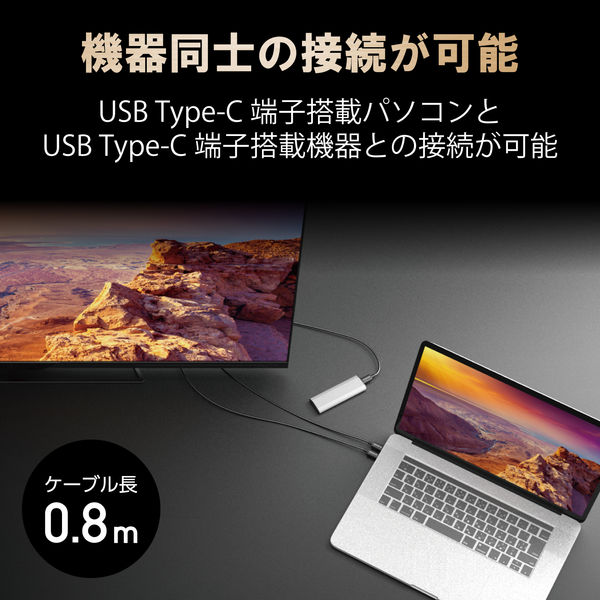 USB4ケーブル 0.8m Type-Cオス-Type-Cオス PD対応/40Gbps USB4