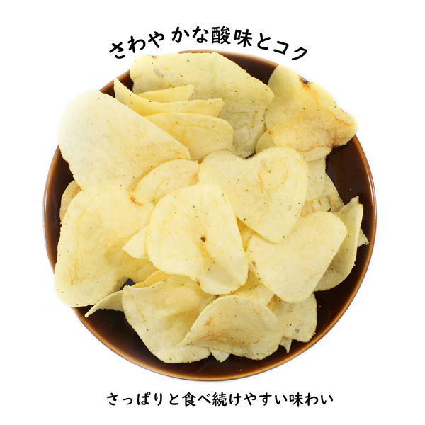 ポテトチップス 北海道サワークリームオニオン味(47g*3袋セット)
