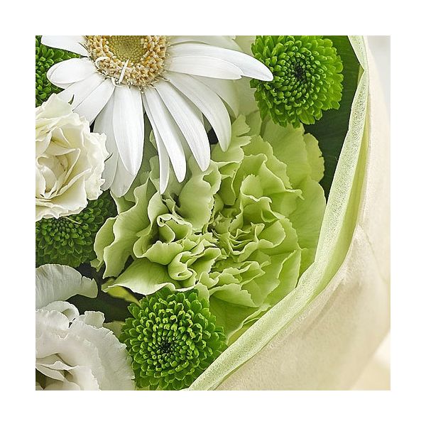 【フラワーギフト・ラッピング付】 日比谷花壇 おまかせ花束「ホワイト・グリーン系」 TH2993（直送品）