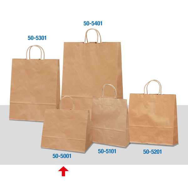 ササガワ 手提げバッグ 幅広小 未晒 50-5001 1袋（50枚入）（取寄品）