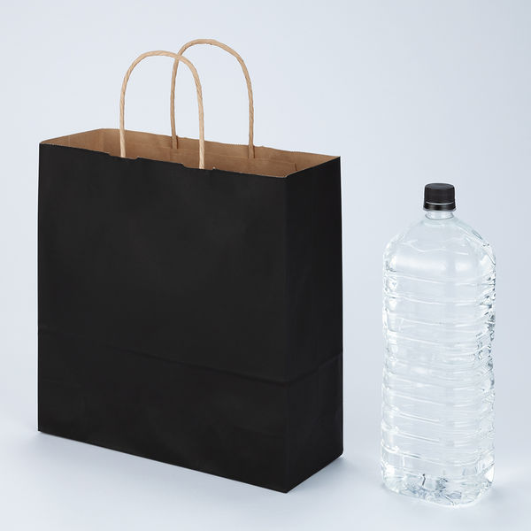 スーパーバッグ　丸紐カラー手提げ紙袋　ブラック　M　　1袋（50枚入）　　　 オリジナル