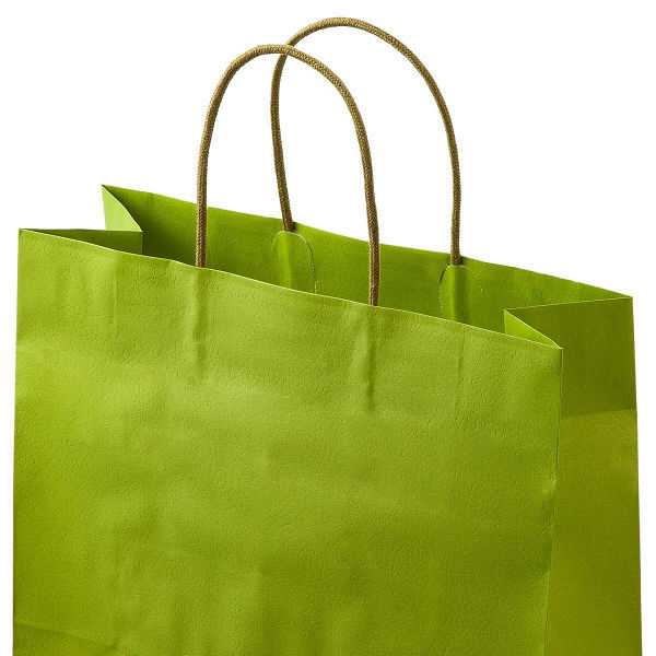 レザートーン手提袋　丸紐　グラスグリーン　L　1箱（300枚：10枚入×30袋）　スーパーバッグ オリジナル