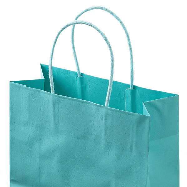 レザートーン手提袋　丸紐　アクアブルー　M　1セット（50枚：10枚入×5袋）　スーパーバッグ オリジナル