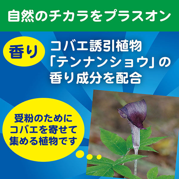 コバエがポットン 置くタイプ コバエ取り  1セット（9個：3個入×3箱） 大日本除虫菊（KINCHOキンチョー）
