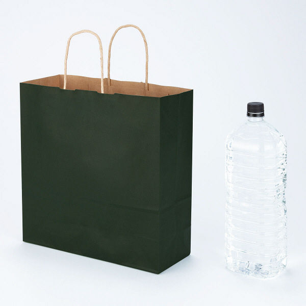 手提げ紙袋　丸紐　ベーシックカラー　深緑　M　1袋（50枚入）　スーパーバッグ オリジナル