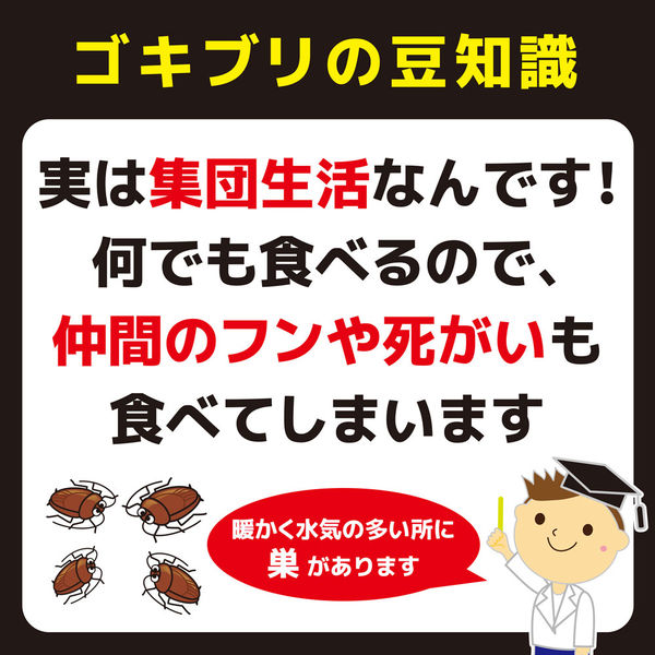 コンバット　１年用　1箱（4個入） 大日本除虫菊