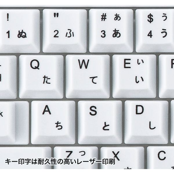 アスクル】サンワサプライ USBキーボード（ホワイト） SKB-L1UN 1個 通販 ASKUL（公式）