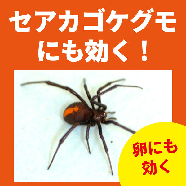 大日本除虫菊（金鳥） クモがいなくなるスプレー 1本