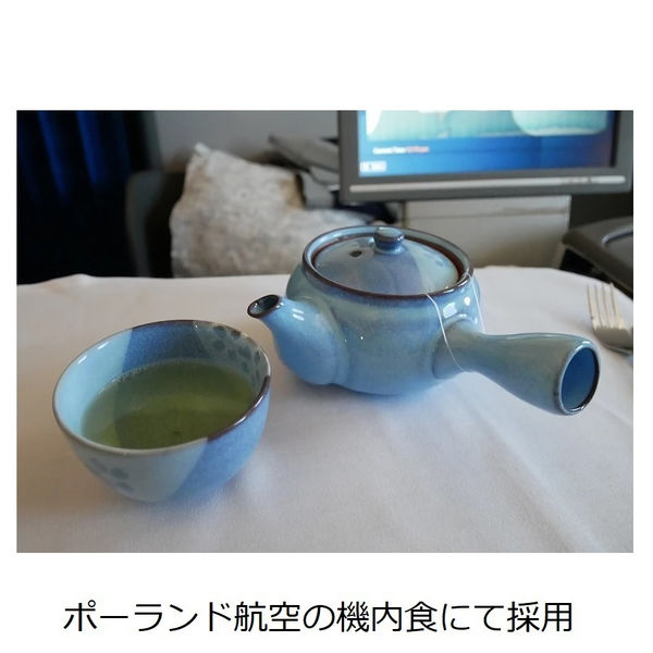 糸つきお茶パックM 徳用 1セット（1000枚：100枚×10袋） トキワ工業